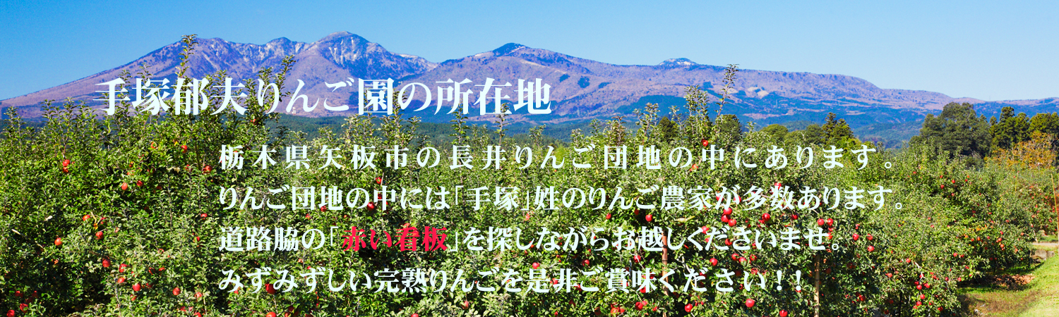 ㈱手塚郁夫りんご園／サンふじの畑と高原山